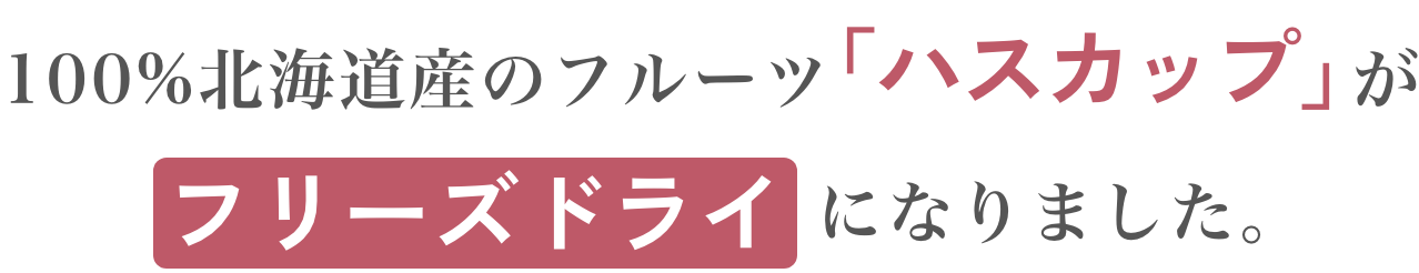 カムイの宝珠